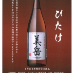 美岳POP.jpg